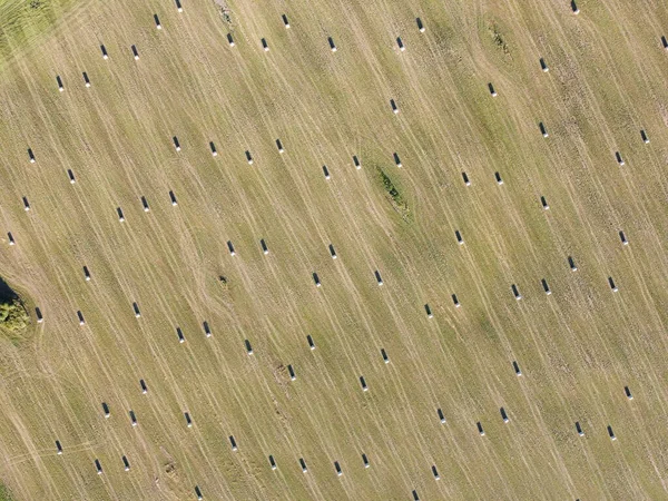 Rolls of hay on the field aerial photo — Stock Photo, Image