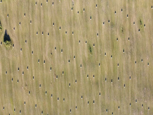 Rouleaux de foin sur le terrain photo aérienne — Photo