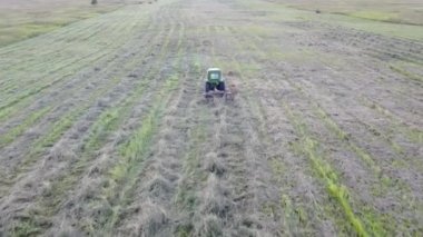 Traktör ve Teddy saman topluyor.