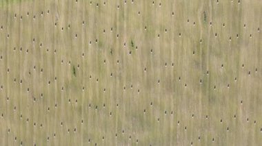 Havadan çekilen videoda saman balyaları