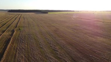 Sahada yeni kesilmiş çimenler var.