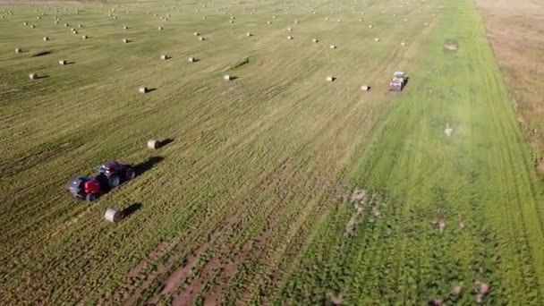 Fardos de feno no campo vídeo aéreo — Vídeo de Stock