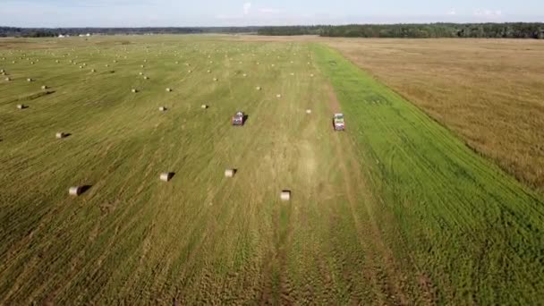 Bales of hay on the field aerial video — Stock Video