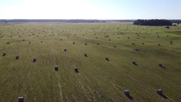 Hooibalen op de luchtfoto van het veld — Stockvideo