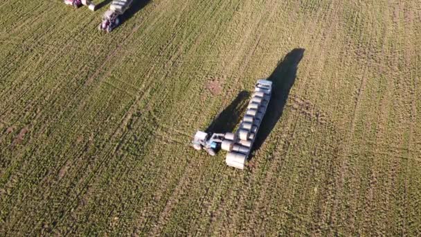 Hay bale φόρτωση εναέρια βίντεο — Αρχείο Βίντεο