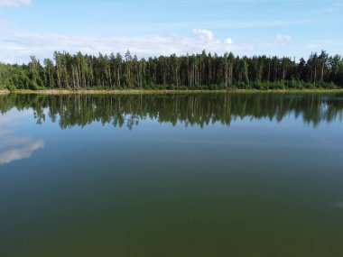 Bir yaz günü havadan çekilmiş bir fotoğrafta bir rezervuarın kıyısındaki ormanlık.