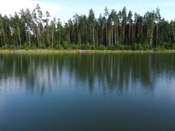 Лесной массив на берегу водохранилища в летний день воздушное фото — стоковое фото
