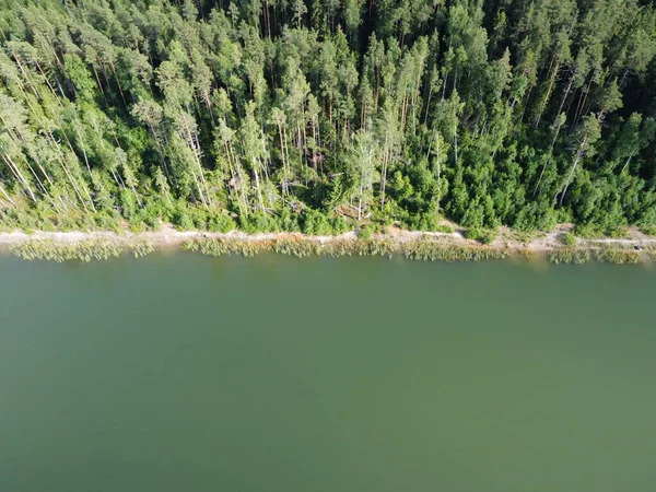 Лесной массив на берегу водохранилища в летний день воздушное фото — стоковое фото