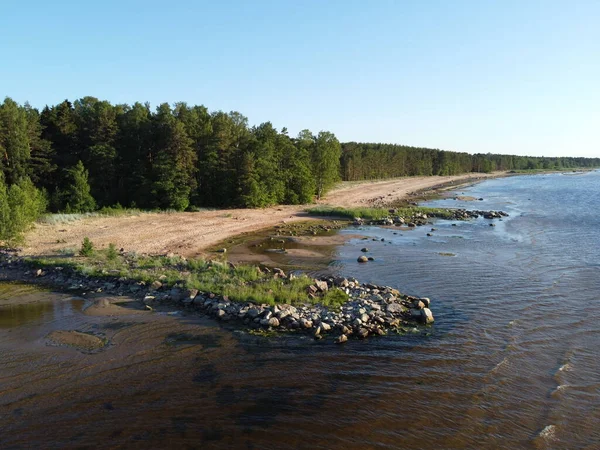 Costa selvaggia del golfo di Finlandia in una giornata di sole estiva foto aerea — Foto Stock