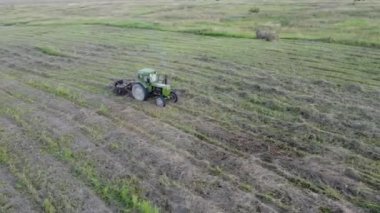 Traktör ve Teddy saman topluyor.