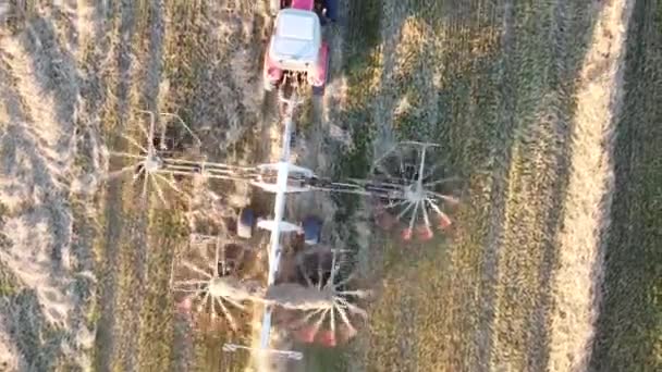 Трактор с сеном собирает сено в одну линию — стоковое видео