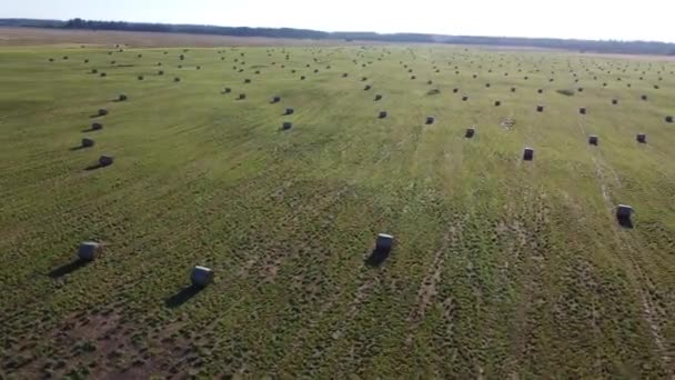 飛行場のビデオの干し草の山の山 — ストック動画