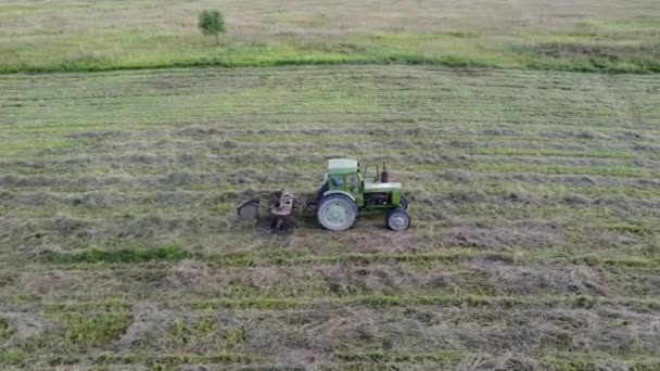 Tractor con henificadora recoge heno en una línea — Vídeos de Stock