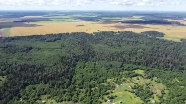 Yukarıdan yeşil ormanın manzarası, hava görüntüsü