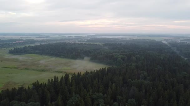 View of the green forest from above, aerial video — Stock Video