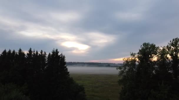 Mist in het veld in de zomer bij zonsondergang luchtfoto video — Stockvideo