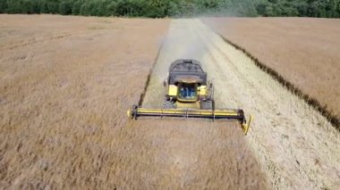 hasat makinesi kolza tohumu hava görüntülerini biçiyor