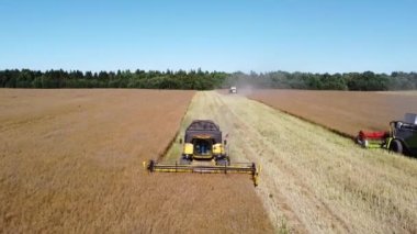 hasat makinesi kolza tohumu hava görüntülerini biçiyor