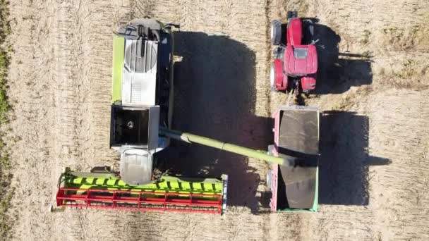 Récolteuse décharge du colza dans le corps du tracteur vidéo aérienne — Video