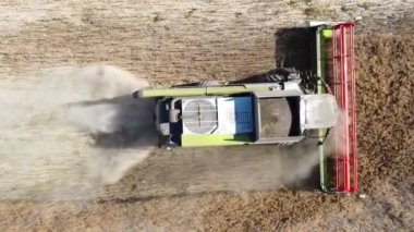 hasat makinesi kolza tohumu hava görüntülerini biçiyor