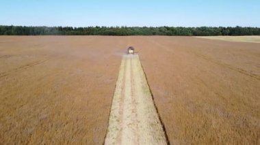 hasat makinesi kolza tohumu hava görüntülerini biçiyor