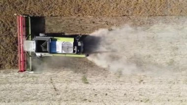 hasat makinesi kolza tohumu hava görüntülerini biçiyor