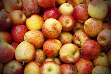 Taze elma bile bir katmanı arka plan olarak yayıldı..