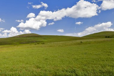 Yeşil alan ve mavi gökyüzü. Güneşli yaz gününde güzel görünümü çim ve tepeleri. Mavi gökyüzüne karşı kabarık bulutlar.