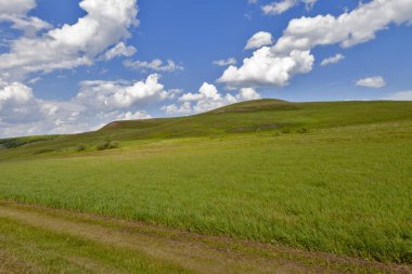 Yeşil alan ve mavi gökyüzü. Güneşli yaz gününde güzel görünümü çim ve tepeleri. Mavi gökyüzüne karşı kabarık bulutlar.