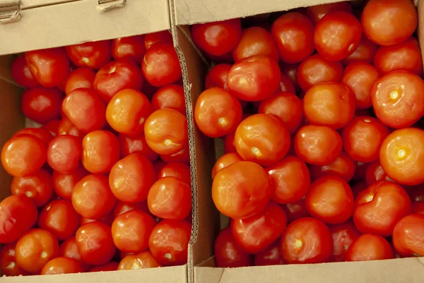 Tomatoes in boxes on the store shelf.