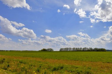 Yeşil alan ve mavi gökyüzü. Güneşli yaz gününde güzel görünümü çim ve tepeleri. Mavi gökyüzüne karşı kabarık bulutlar.