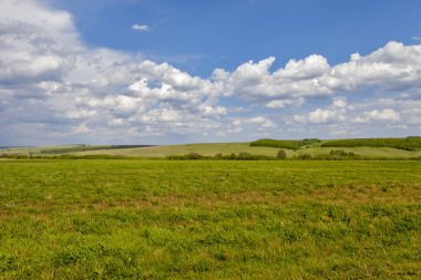 Yeşil alan ve mavi gökyüzü. Güneşli yaz gününde güzel görünümü çim ve tepeleri. Mavi gökyüzüne karşı kabarık bulutlar.