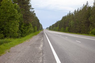 Ormanda, şehirlerarası yol yol. Güzel yeşil tepeler. Mavi gökyüzü ile kabarık bulutlar. Ufuk ötesine gider yol.