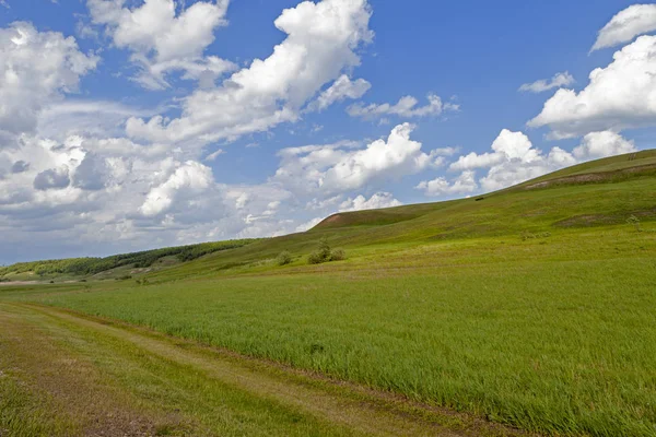 Zielone Pole Błękitne Niebo Piękny Widok Trawie Wzgórza Słoneczny Letni — Zdjęcie stockowe