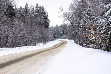 Ormandaki bir ıssız kış yol.