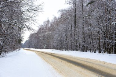 Ormandaki bir ıssız kış yol.