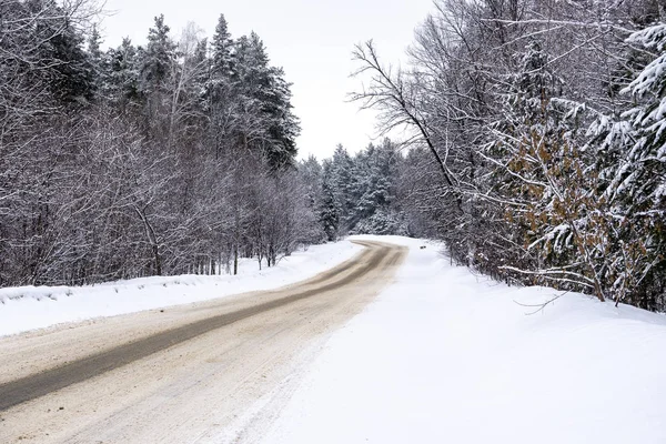 Ormandaki bir ıssız kış yol.