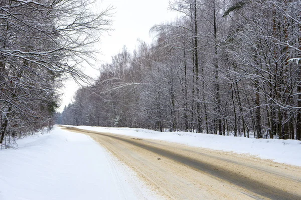 Ormandaki bir ıssız kış yol.