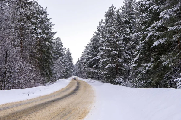 Deserted Winter Road Forest — Stock Photo, Image