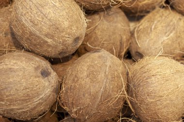 Kıllı hindistancevizi bir ekran durumda ortaya koydu.