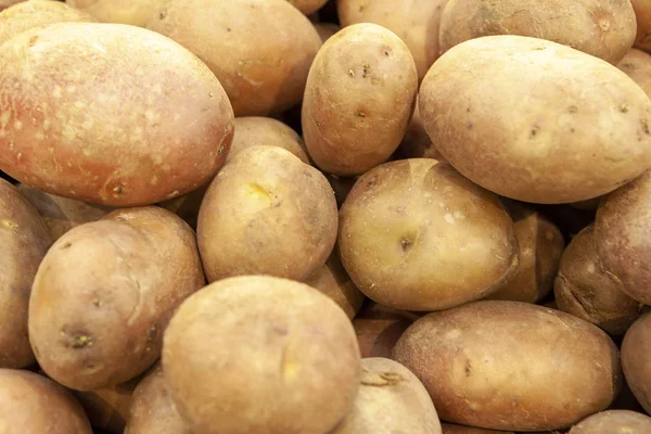 新鮮な有機ジャガイモ上面の杭をクローズ アップ ジャガイモの根のヒープ マッシュ ポテト フライド ポテト チップの野菜 — ストック写真