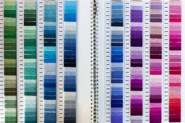 Renkli palet için iplik dikiş çapraz. Mulina birçok rengi. Konuları katalog. Yakın çekim.