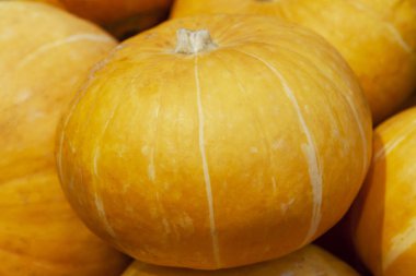 Pişirme ve yemek beyaz şeritler ile sarı kabak. Makro fotoğraf kabak. Yakın çekim sebze. Üstten görünüm.