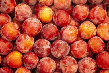 Dükkanda turuncu Erik dokusuna kadar üstten görünüm kapatın. Erik mağaza ile kutu. Lezzetli tatlı meyve tatlı, salata, meyve suyu için.