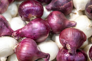 Akşam yemeği, öğle yemeği ve farklı yemekler yemek pişirmek için kırmızı ve sarı soğan. Makro fotoğraf soğan. Yakın çekim sebze. Üstten görünüm.