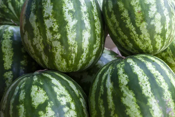 Delisios karpuz ile Pazar sayaç. Güneş ışınları taze kavun. Çilek üzerinde parlama.