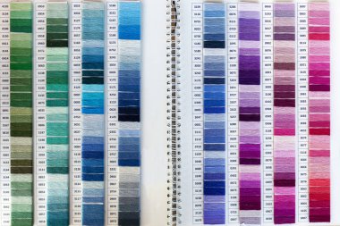 Renkli palet için iplik dikiş çapraz. Mulina birçok rengi. Konuları katalog. Yakın çekim.