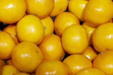 Taze mandalina dükkan pencerede eşit yayılmış