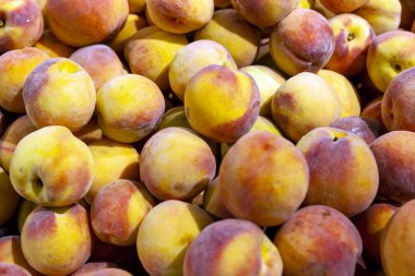 Sulu meyve Şeftali nektarin vitrin hatta satırları yayılır.