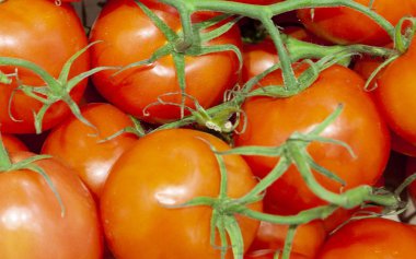 Taze Olgun kırmızı domates dalları olmadan yığını kapat. Sebze Salatalar, pizza, soslar, salsa, ketçap. Üstten görünüm.